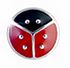 BJT980 ORECCHINI POST-FORATURA LADY BUG 6MM